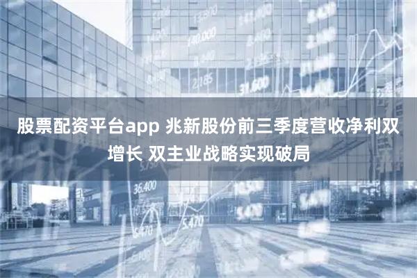 股票配资平台app 兆新股份前三季度营收净利双增长 双主业战略实现破局