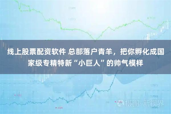 线上股票配资软件 总部落户青羊，把你孵化成国家级专精特新“小巨人”的帅气模样